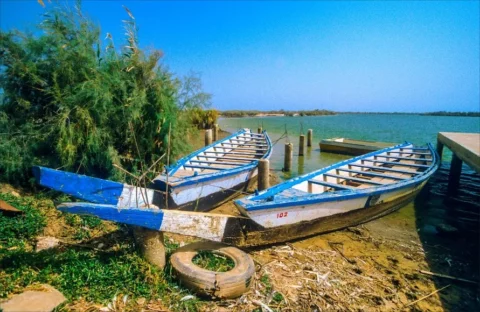 Parc national de la Langue de Barbarie